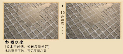 看瓷磚的吸水率